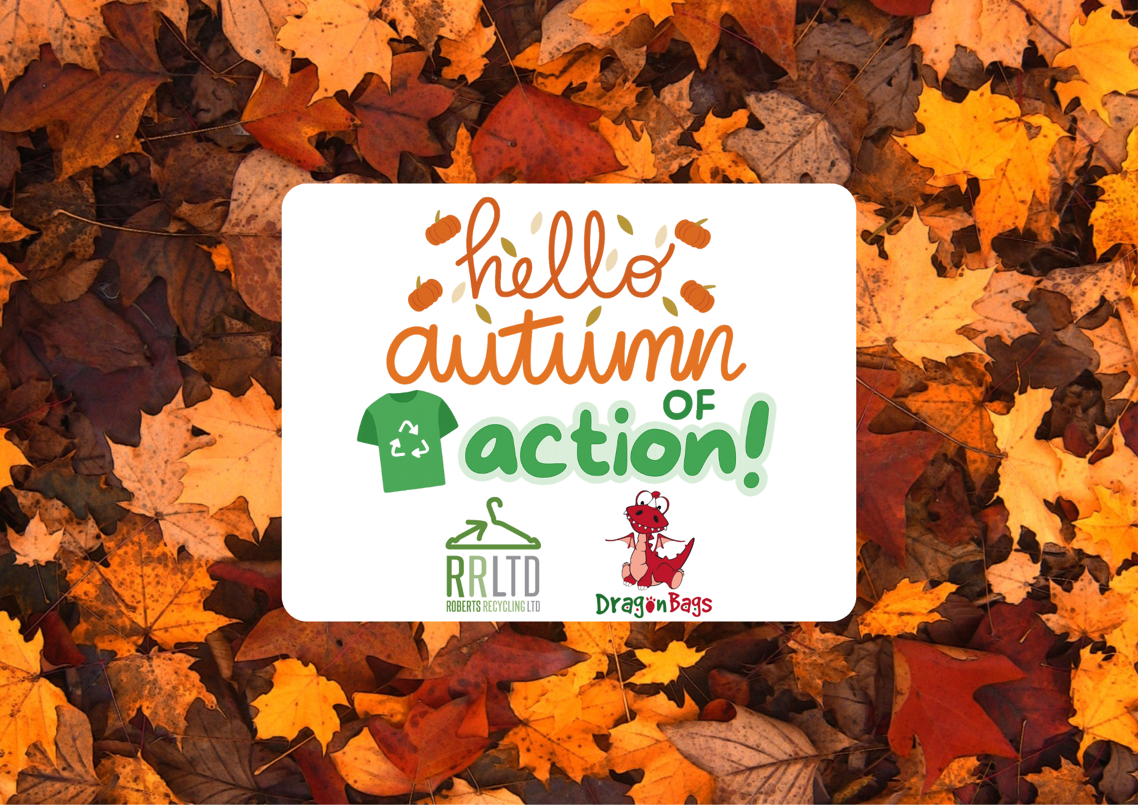 Join autumn Of Action – Dragon Bags